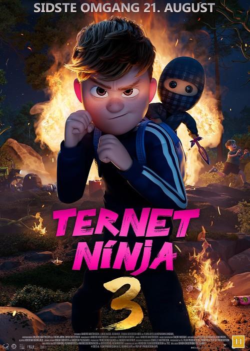 Ternet Ninja 3